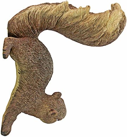 Design Toscano Simone, The Squirrel Hanging Sculpture