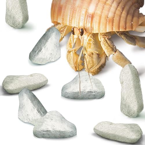 JOR Water Conditioner Calcium Rocks for Baby Shrimps, Isopods, and Crayfish, Enhances Pet Color, Provides Hideout, Breeding Spot