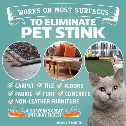 Angry Orange Pet Odor Eliminator 8 oz. bottle- Industrial Strength Pet Odor Remover - Makes (4) 32oz. Bottles - 1 Gallon - Neutralizes and Sanitizes Tough Pet Odors Fast