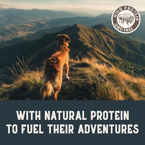Health Extension Grain-Free Chicken Tenders Dog Treats, 4oz (113g) – Natural, Crispy Gourmet Training Treats for Adult Dogs and Puppies