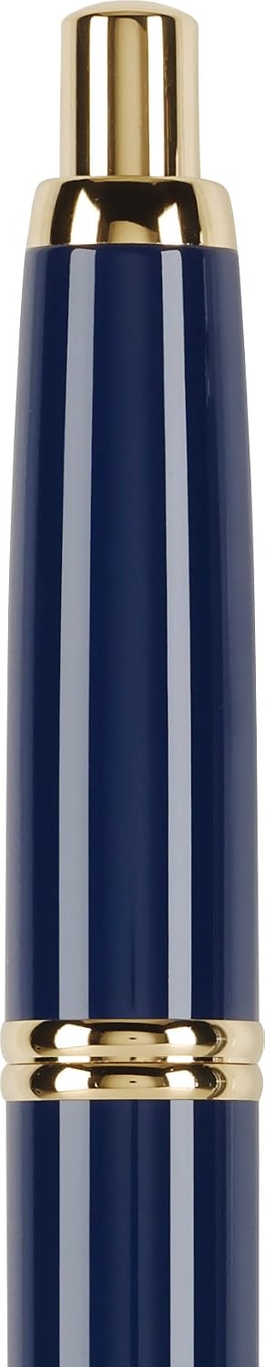 PILOT Vanishing Point Collection Refillable & Retractable Fountain Pen, Matte Black Barrel, Blue Ink, Fine Nib (60580)