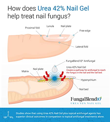FungaBlend 10 - Urea 42% Nail Gel to Cure Fungus Faster - Delivers Antifungal Medication Directly to Fungus - Quick Results Topical Solution for Toe