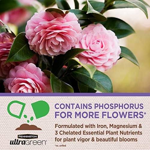 Pennington 100525940 UltraGreen Azalea, Camellia & Rhododendron 10-8-6 Plant Food, 5 lb