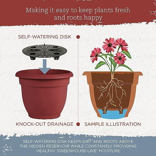 Bloem AP1013 Ariana Self Watering Planter 10" Burnt Red