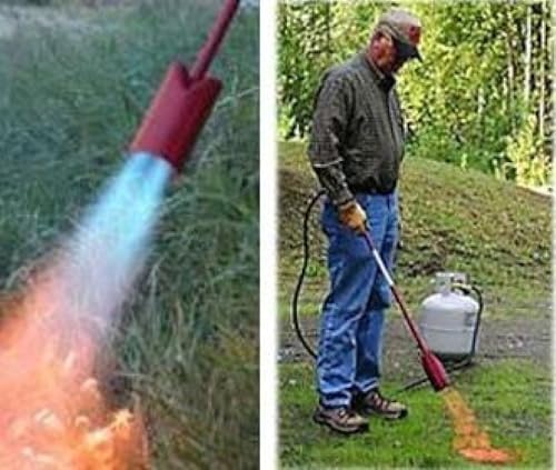 Red Dragon VT3-30C Heavy Duty Vapor Torch Kit, 500, 000 BTU Propane Weed Burner with 3-Inch Bell, 33.5-Inch Length, 30 PSI Operating Pressure for Farm