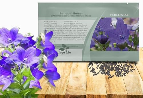 Outsidepride Blue Balloon Flower Seeds for Planting – 1000 Pcs Perennial, Drought-Tolerant, Easy to Grow, Low Maintenance, Pollinator-Friendly, Star-Shaped Blooms for Outdoor Gardens and Borders