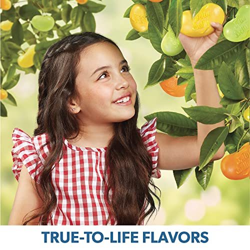Jelly Belly Sugar Free - 8.25 oz Bag - Official, Genuine, Straight from the Source