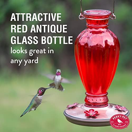 Perky Pet 8133-2 Daisy Vase Vintage Glass Hummingbird Feeder
