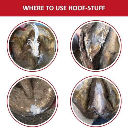 Red Horse Products Hoof-Stuff 290g, hoof Pack - cleanses and Protects