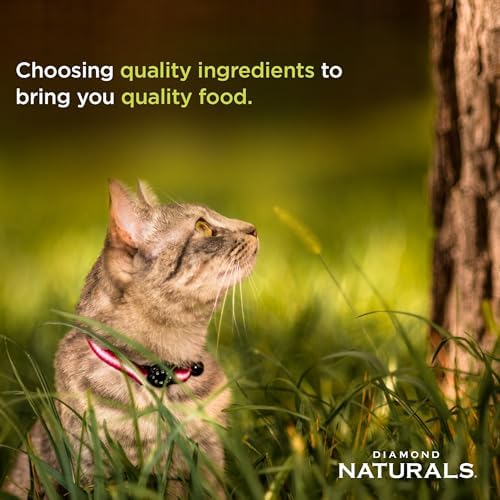 DIAMOND NATURALS Indoor Adult Dry Cat Food, Chicken & Rice, 18lb | With Real Chicken for Great Taste | Omega Fatty Acids to Help Support Skin & Coat Health | Taurine for Heart & Eye Health