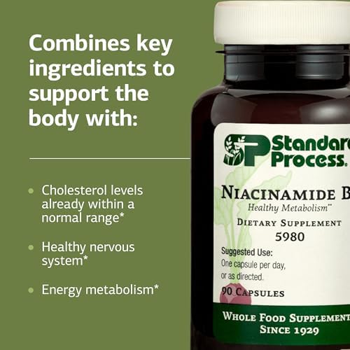 Standard Process Niacinamide B6 - Supports Energy Metabolism & Nervous System Health - Aids Blood Flow & Digestive Health with Niacin & Vitamin B6