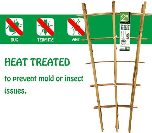 Natural Bamboo Trellis 24 Inches Tall, Mininfa Garden Ladder Trellis, Plant for Climbing Plants, Vegetables, Pots - 3 Pack