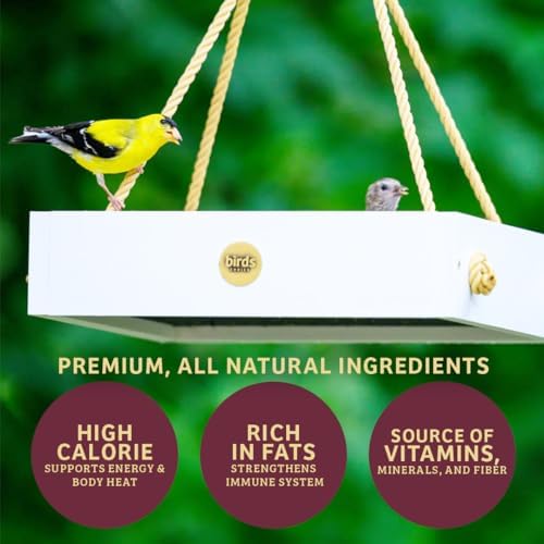 Birds Choice Bugs 'N Nuts Seed Cake | Wild Bird Food with Insects & Fruit | High-Energy Mix of Sunflower Chips, Peanuts