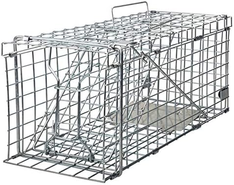 Gingbau Squirrel Trap Foldable Heavy Duty Humane Live Animal Cage Trap (Not for Mouse)