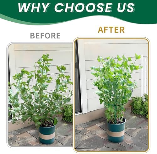 TCBWFY 10 Pack Garden Plant Support Stakes, 10" Widex16 High Heavy Duty Interlinked Half Round Peony Support Ring Cage for Indoor Outdoor Plants