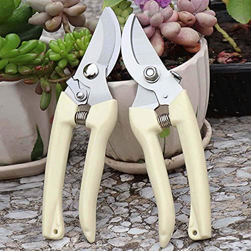 BUGUI Wood Handle Pruning Shears, SK-5 Steel Blade, 1-inch Cutting Capacity, Sharp, Well Designed Garden Shears, 8"