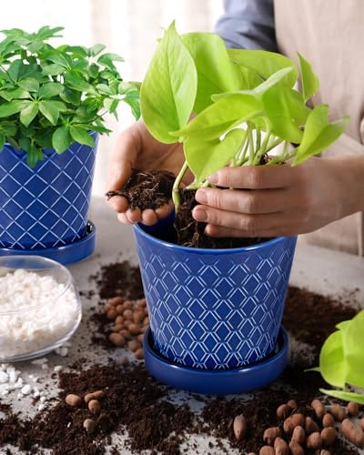 EFISPSS Ceramic Plant Pots, 5 Inch Planters with Drainage Holes and Ceramic Tray, Relief Design Flower Planter