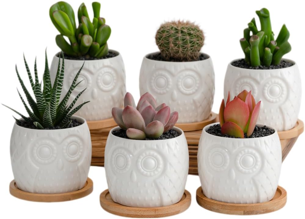 Cuteforyou Succulent Pots,Cute Animal Shaped Cartoon Ceramic Succulent Cactus Flower Planters -Plant Not Included，Cat