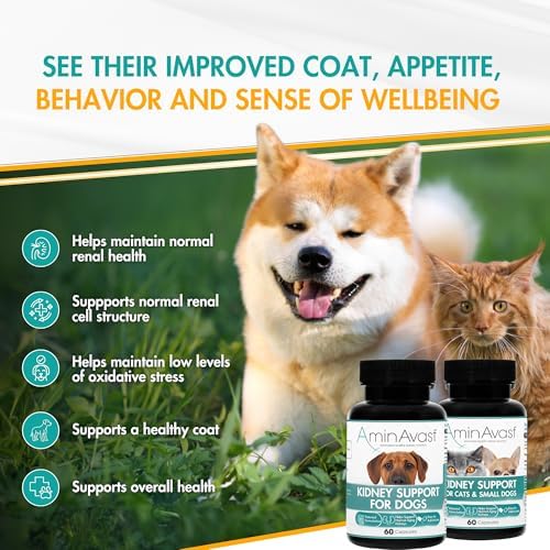 AminAvast Kidney Support for Dogs Over 20lb, 1000mg, 60 Sprinkle Capsules | Feed Directly or Open Capsules & Mix With Food, Flavorless, Easy Daily Use