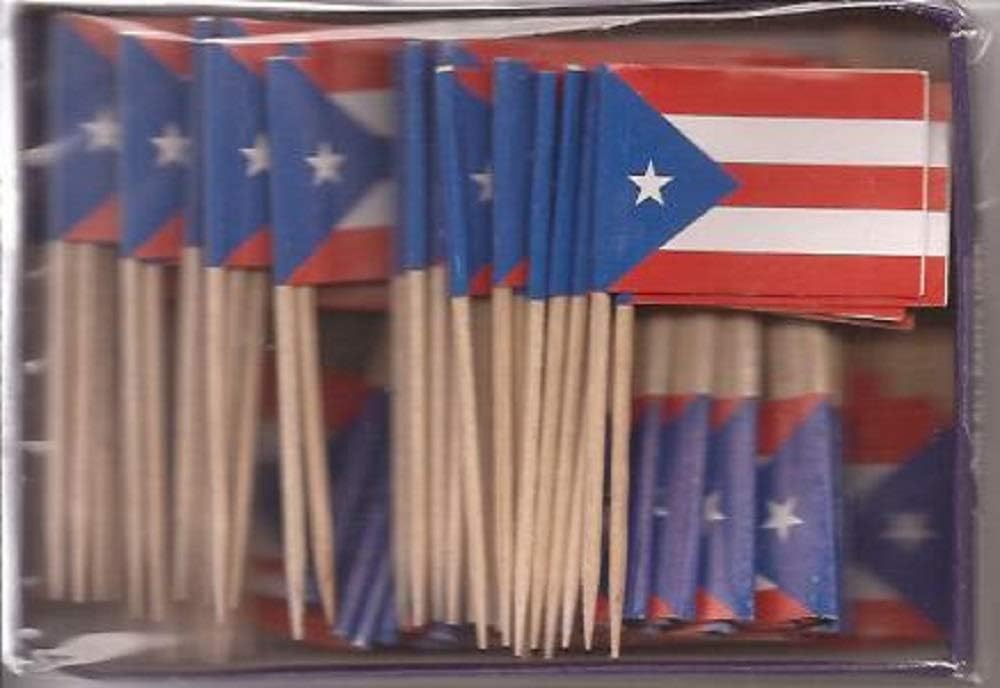 One Box of 100 Nicaragua Toothpick Flags, 100 Small Mini International Flag Cupcake Toothpicks or Cocktail Picks