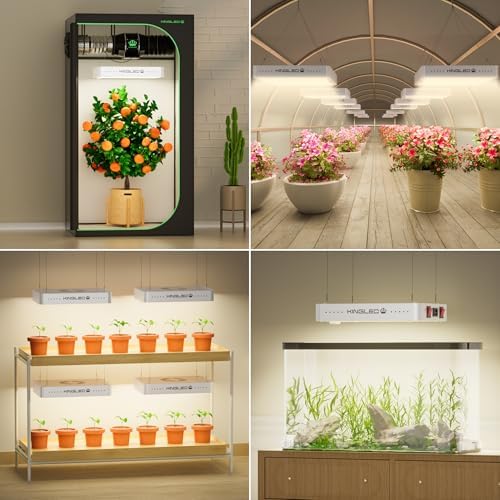 KingLED KP1000 Grow Light for Indoor Plants, Full Spectrum Plant Grow Light | 100W Dimmable LED Growing Light with Veg & Bloom Mode, High PPFD Plant Lamp for Indoor Seed Starting, Fits 2x2/2x3 Grow Tent