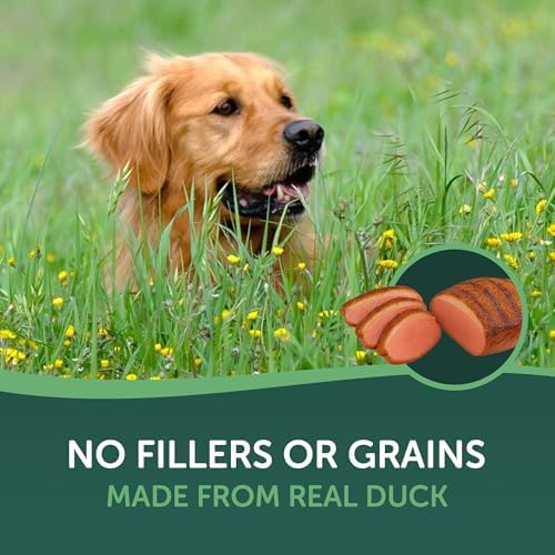 Healthfuls Duck Jerky Healthy Dog Treats – Grain Free, Real Duck Breast Fillets, No Fillers or Artificial Ingredients, All Life Stages – 16 ounces
