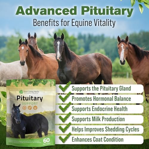 Horse Pituitary Gland Supplements - 1 lb | Pituitary Gland Supplements for Horses, Barberry, Burdock & Kelp, Shedding, Coat & Metabolism Support, 1 lb