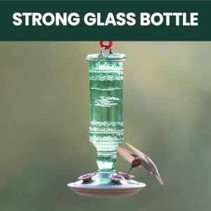 Perky-Pet Green Antique Glass Bottle Hummingbird Feeder boasts a durable construction