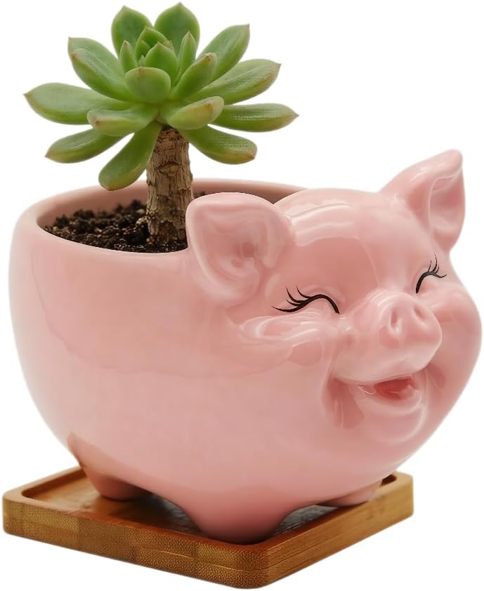 Cuteforyou Succulent Pots,Cute Animal Shaped Cartoon Ceramic Succulent Cactus Flower Planters -Plant Not Included，Cat