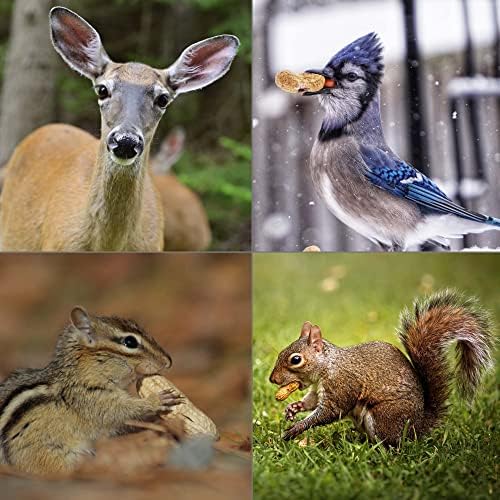 WINGFIELD-25 25 lb Virginia in Shell Animal Peanuts (25lb Bag) for Wildlife, Yellow