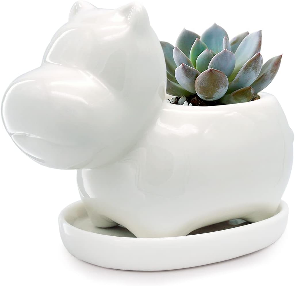 GeLive White Cow Succulent Pot, Small Ceramic Animal Planter with Drainage Hole & Saucer for Cactus, Mini Air Plants, Pencil Holder Brush Organizer, Indoor Home Office Desk Decor, Funny Gift