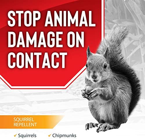 Squirrel Stopper Repellent Spray - Chipmunk & Squirrel Deterrent for Bird Feeders, Garden & Homes - Weather-Resistant Formula - Scent, Taste & Touch Barrier - Safe Around Kids & Pets - 32oz