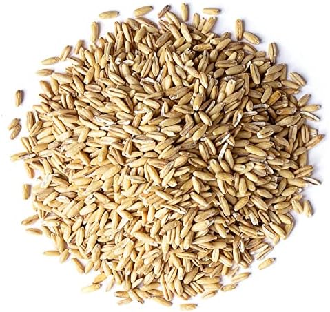Exotic Nutrition Whole Oats 4 lb. - Healthy Supplemental Food - Natural Whole Oats for Prairie Dogs, Degus & Chinchillas…