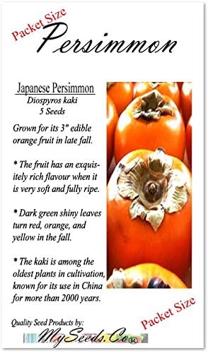 Japanese Persimmon (5 Seeds) Asian Persimmons (Diospyros Kaki-fuyu) Tree Shrub