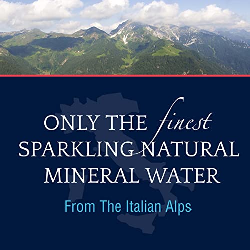 S.Pellegrino Sparkling Natural Mineral Water, 8.45 fl oz. Glass Bottle (24 Count)