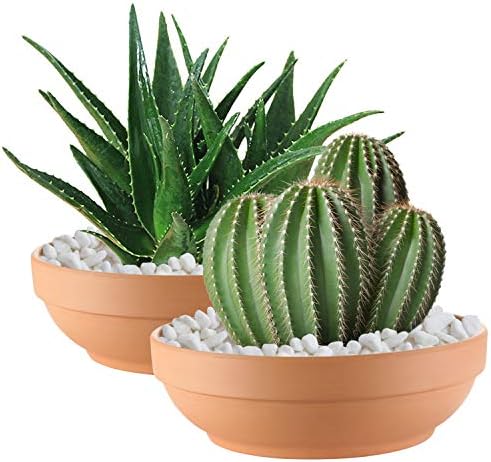 Laerjin Terracotta Pots, 6.43 Inch Shallow Pots with Drainage Hole, 6 Pack