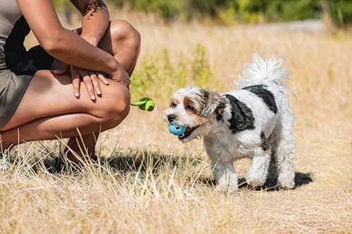 Chuckit! The Whistler Ball Dog Toy, Small (2 Inch Diameter) for Dogs 0-20 lbs, Pack of 2