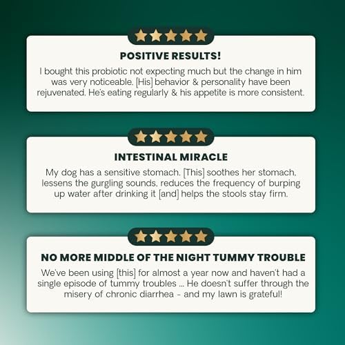 VetriScience Extra Strength Healthy Gut & Digestion Chewable Tablets, Probiotic BD Digestive Enzyme Supplement for Dogs