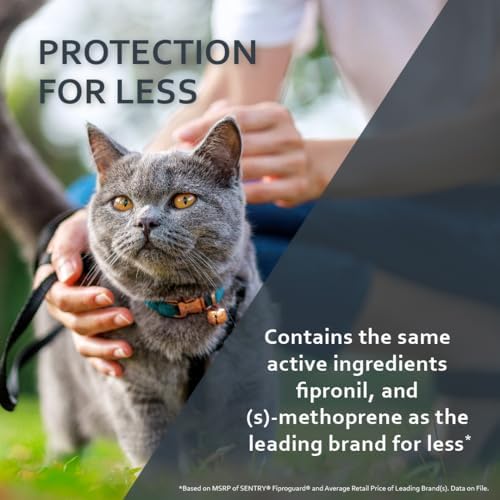 Sentry Fiproguard Flea & Tick Cats 1.5 lbs+, Fipronil, 6-Month | Ideal for Cats & Kittens 1.5 lbs+, Kills Fleas, Ticks & Chewing Lice for 30 Days