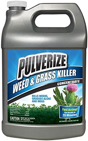 Weed and Grass Killer, All Natural, Fast Acting, Non-Staining, Safe for People and Pets, Herbicide for Moss, Algae, Weeds, and Grass