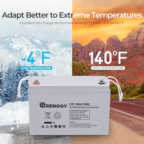 Renogy Deep Cycle AGM 12 Volt 100Ah Battery, 3% Self-Discharge Rate, 1100A Max Discharge Current, Safe Charge Appliances for RV, Camping, Cabin