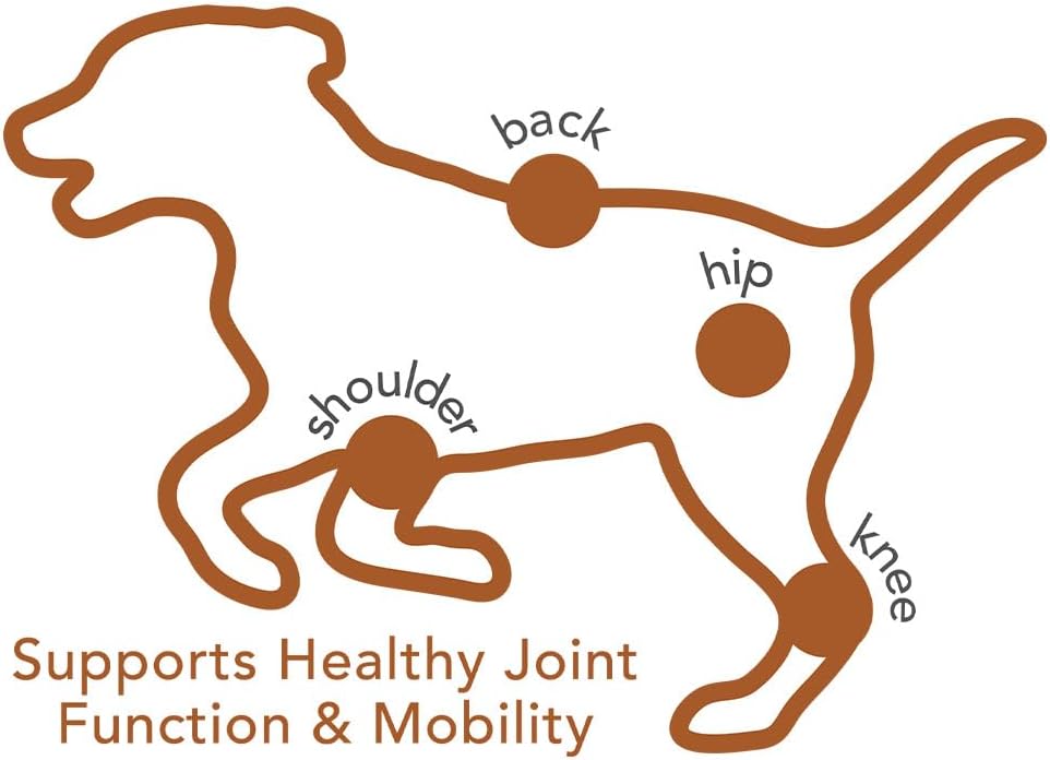 Vet's Best Advanced Hip & Joint Soft Chews for Dogs, 30 Day Supply | Glucosamine & Chondroitin Soft Chews, Supports Joint Mobility & Cartilage Health