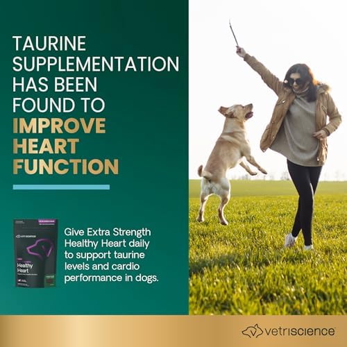 VetriScience Extra Strength Healthy Heart Chews, Vetri Cardio Supplement for Dogs, Cardio Support Supplement with Taurine, Carnitine, CoQ10