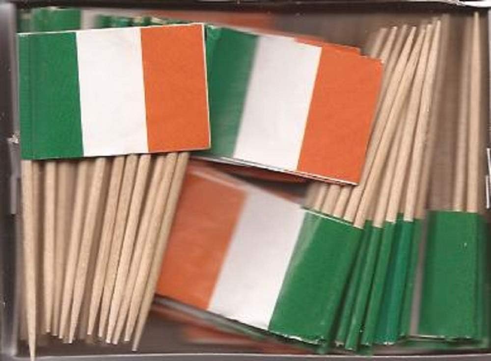 One Box of 100 Nicaragua Toothpick Flags, 100 Small Mini International Flag Cupcake Toothpicks or Cocktail Picks