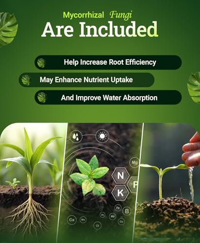 FoxFarm Happy Frog Acid Loving Plants Fertilizer - Slow Release Fertilizer for Azaleas, Rhododendrons