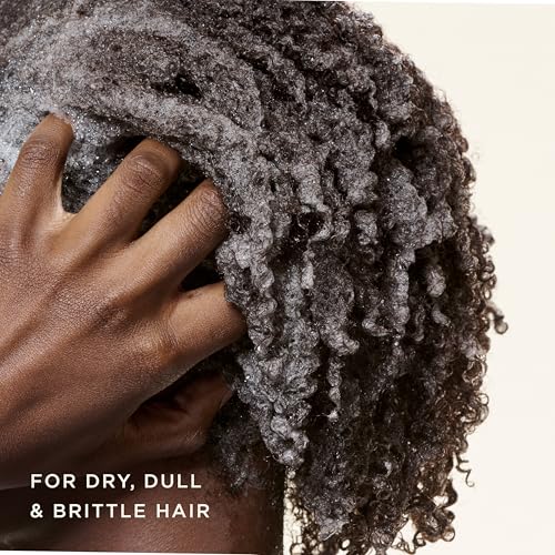 Carol's Daughter Black Vanilla Moisture Sulfate Free Shampoo for Curly, Wavy or Natural Hair, Moisturizing Hair Care for Dry, Damaged Hair, 12 Fl Oz