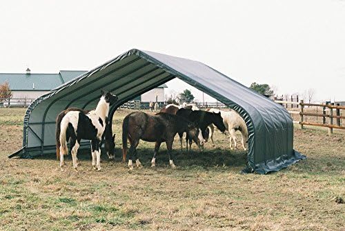 ShelterLogic Peak Style Run-in Shed - Green, 24ft.L x 22ft.W x 12ft.H, Model Number 58542
