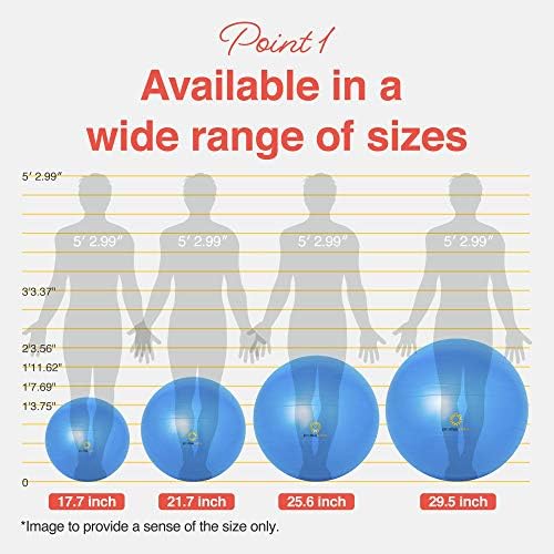 Primasole Exercise Ball for Balance Stability Fitness Workout Yoga Pilates at Home Office & Gym Birthing Ball for Pregnancy, Office Ball Chair