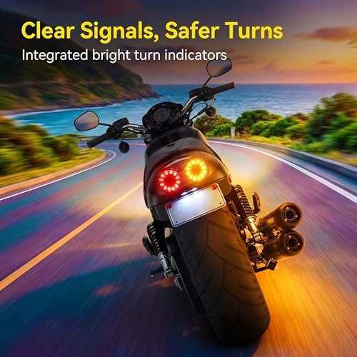 ANKIA 40-LED 40W Motorcycle Tail Light Integrated Running Lamp | Brake&Turn Signal Light with License Plate Bracket for Harly Motorcycle Street Bike Cruiser Chopper (Black)