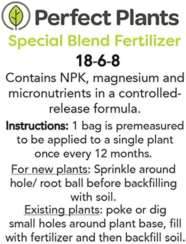Arbequina Olive Tree - Live Plant, Includes Special Blend Fertilizer & Planting Guide
